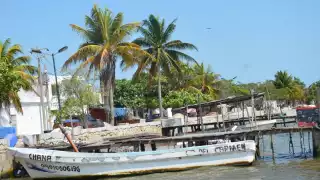 Las agrupaciones consideran que la prospección de campos petroleros tuvo como consecuencia la disminución de la población de especies marinas