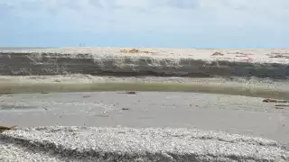 Foto: Fernando Kantún