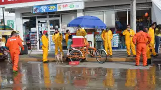 Foto: Fernando Kantún