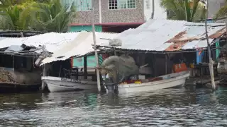 Foto: Fernando Kantún