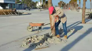 Mujeres albañiles rompen tabú en Ciudad del Carmen