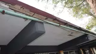 Foto: Fernando Kantún