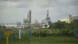 Foto: Fernando Kantún