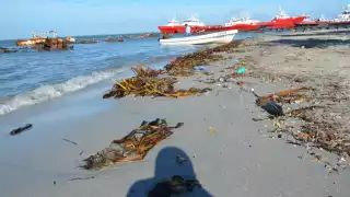 FOTOS: Fernando Kantún