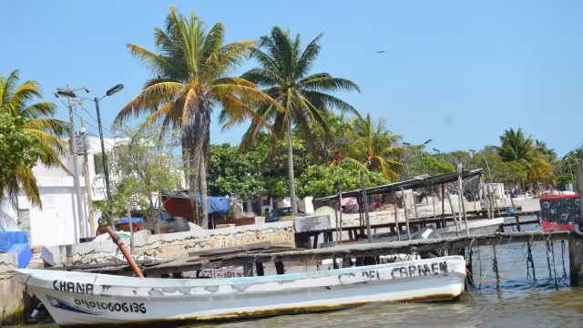 Las agrupaciones consideran que la prospección de campos petroleros tuvo como consecuencia la disminución de la población de especies marinas