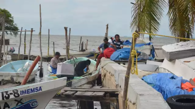 Foto: Fernando Kantún