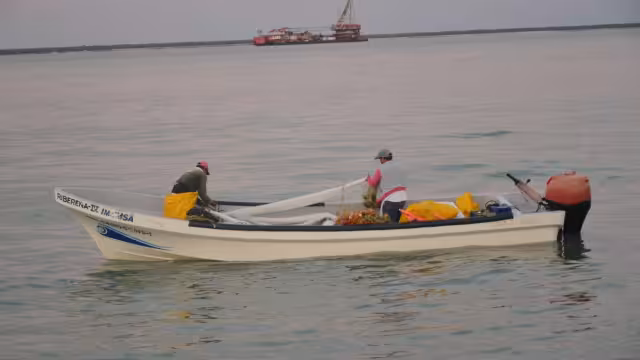 Foto: Fernando Kantún.