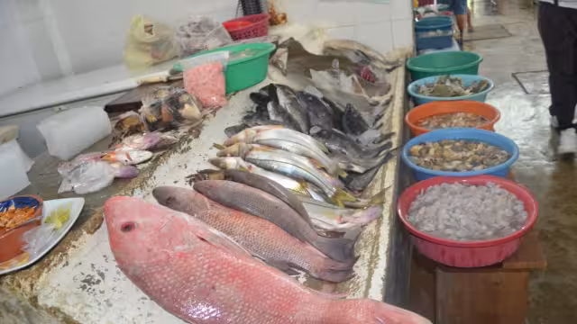 FOTOS: Fernando Kantún