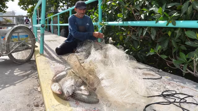 Foto: Fernando Kantún