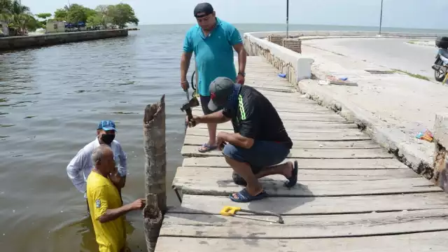Texto: Fernando Kantún