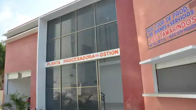 Foto: Fernando Kantún