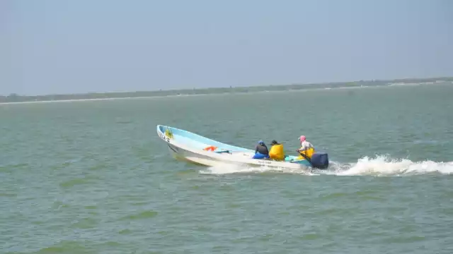 Foto: Fernando Kantún