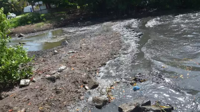 Foto: Fernando Kantún