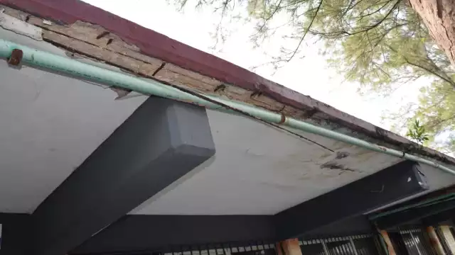 Foto: Fernando Kantún