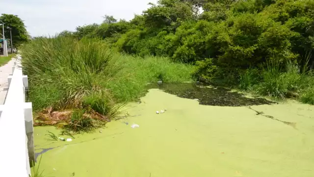 Foto: Fernando Kantún