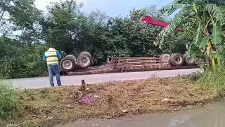Rapiñan pollos tras la volcadura de un tráiler en la vía Kanasín-San Antonio Tehuitz