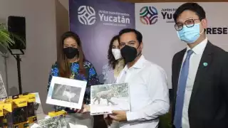 Se espera acelerar la conservación y regeneración efectiva de la biodiversidad