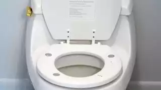 Serpiente sale del inodoro y muerde a joven en el pene (Especial)