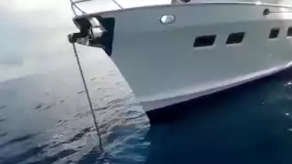 Parque Marino, Sin vigilancia, exigen sanciones en Cozumel