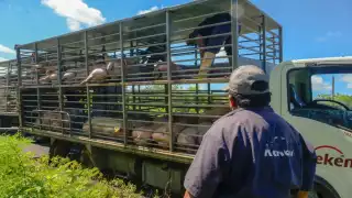 El próximo domingo 25 de julio se llevará a cabo el día de la consulta