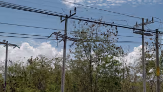 “CFE ni sus luces”: pobladores de Champotón denuncian horas sin energía eléctrica