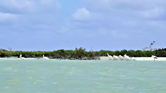 Se esperan temperaturas de 35 a 40 °C Se esperan temperaturas de 35 a 40 °C