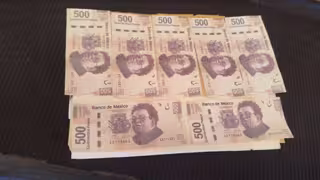 Detectan billetes falsos de 500 pesos en una paquetería de Campeche; FGR investiga su procedencia