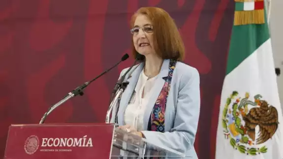 Tras la salida de Luz María de la Mora, subsecretaria de Comercio Exterior, AMLO confirmó cambios en la secretaría de Economía.