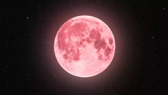 La Luna de Fresa en realidad no se refiere a que el satélite natural de la tierra se pondrá de color rosa La Luna de Fresa en realidad no se refiere a que el satélite natural de la tierra se pondrá de color rosa