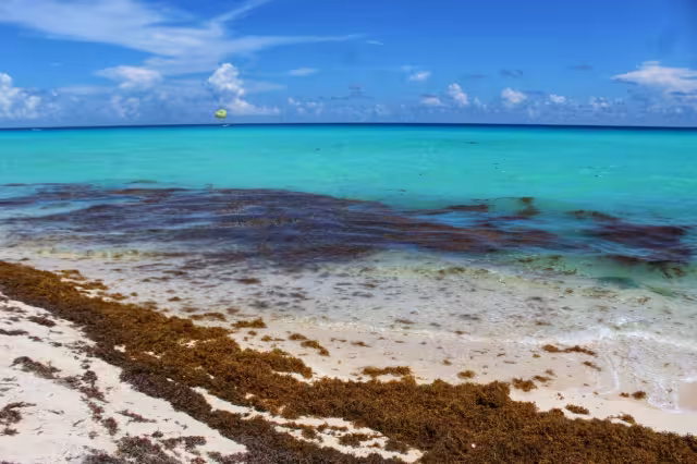 Habrá vientos de 10 a 20 km/h con rachas de 30 a 40 km/h