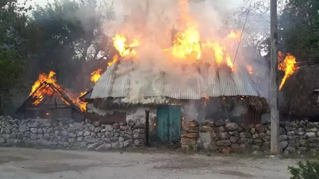 Los detenidos fueron puestos a disposición de la Fiscalía General del estado de Campeche