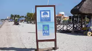 Playas de Progreso obtienen distintivo The Blue Flag por tercer año consecutivo