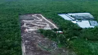 Profepa frena obras para la construcción de una pista de motocross en Chicxulub Pueblo