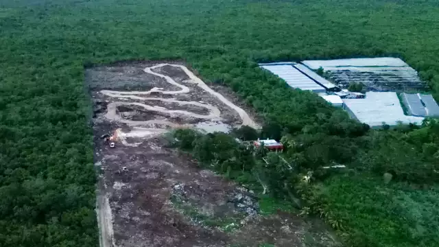 Profepa clausura pista de motocross por cambio de uso de suelo sin autorización en Chicxulub Pueblo