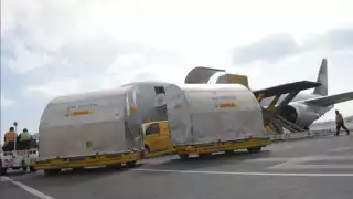 Del 8 de septiembre al 7 de octubre han llegado al país 9.5 millones de este contrato
