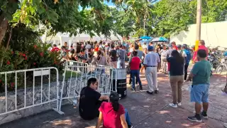 Fallas en plataforma durante el emplacamiento vehicular abre puertas a “coyotes" en Cancún