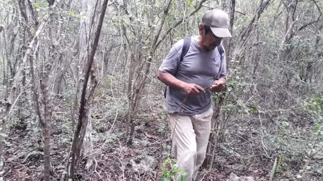 Piden que el acceso a nivel de tierra para que no genere esfuerzos y dificultades a los campesinos de edad avanzada y personas con discapacidad