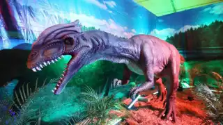 La Expo Dinosarios llegará a Mérida durante el mes de marzo