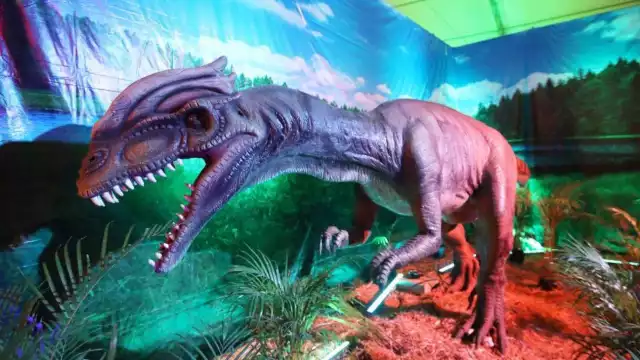 La Expo Dinosarios llegará a Mérida durante el mes de marzo
