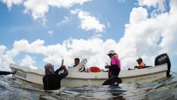 Cada año concurren millones de visitantes a las Áreas Naturales Protegidas de Quintana Roo, quienes dejan una importante descarga de aguas residuales. ( Cada año concurren millones de visitantes a las Áreas Naturales Protegidas de Quintana Roo, quienes dejan una importante descarga de aguas residuales. (