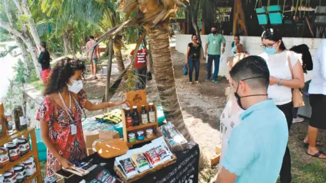 Q. Roo ingresó más de 30 peticiones de registro de patentes ante el Instituto Mexicano de la Propiedad Industrial (IMPI)