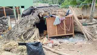Madrugada de terror en Tekax: colapsa casa de huano mientras la familia dormía