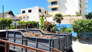 Sheinbaum ordena acciones rápidas ante arribo masivo de sargazo en Quintana Roo