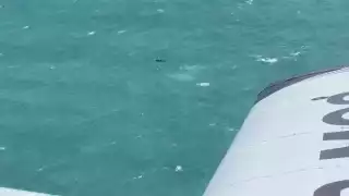 Llega a Sisal el primero de los tres pescadores rescatados tras  cuatro días desaparecidos