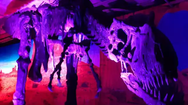 Esta exposición permitirá a los asistentes realizar recorridos por salas ambientadas