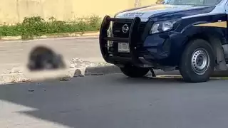 Las autoridades fueron alertadas sobre una maleta de la cual sobresalían dos piernas