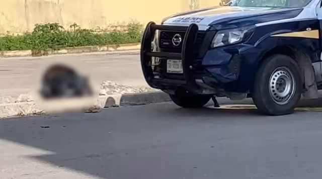 Las autoridades fueron alertadas sobre una maleta de la cual sobresalían dos piernas