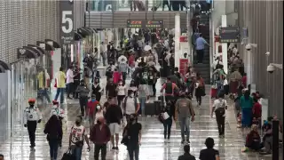 Aduanas decomisaron en el Aeropuerto de la Ciudad de México un total de 141 kilogramos de Ayahuasca