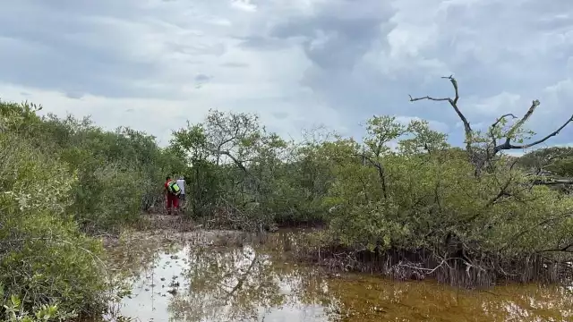 El hombre fue rescatado por paramédicos de la Cruz Roja que se adentraron a la cienega