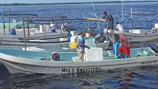 Nuevo Hospital O’Horán dará atención especializada a pescadores y buzos de Yucatán